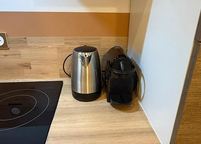 Apartment Le Double Cocoon - 13 Personnes - Clim - Confort Clermont-Ferrand